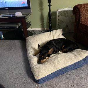 Meet your Posher, Dellia